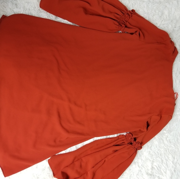 Zara Tragaluc Gorgeous Burnt Orange Dress, Size Xs.  A125 - Picture 2 of 4